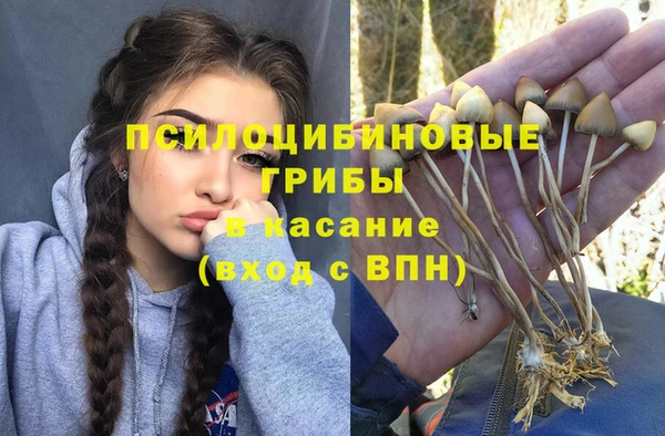 MDMA Premium VHQ Гусев